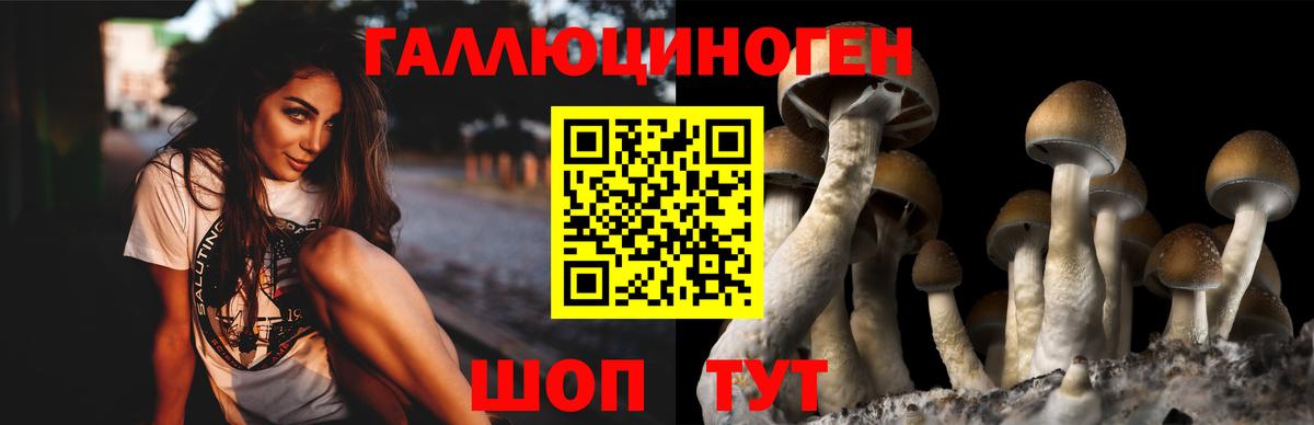 Галлюциногенные грибы Psilocybe  Псилоцибиновые грибы MAGIC MUSHROOMS  Вход с VPN  Астрахань 